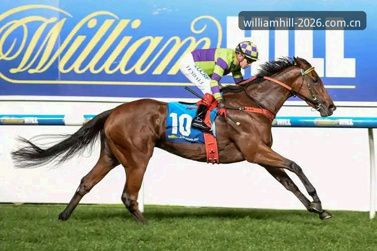 WilliamHill登录 WilliamHill登录详解:从官方入口到2026新版体验全解析